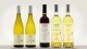Grafica etichette vino Cantina Lupi - PEQ Agri