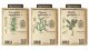 Grafica puntalini packaging piante aromatiche in vaso - L'Ortofrutticola di Albenga