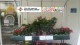 Grafica pannelli per balconette esposizione fiori supermercati Carrefour Liguria  - L'Ortofrutticola di Albenga